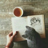 Кофе, кошки, WLW
