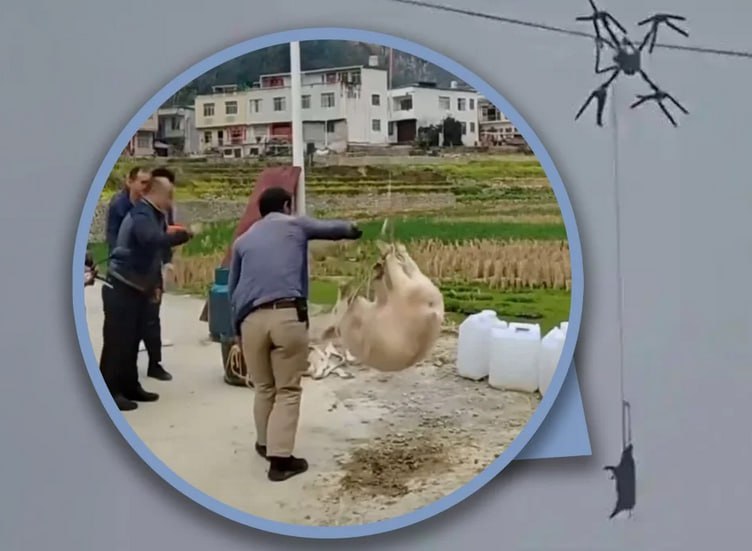 В китайской провинции Сычуань свинья на дроне врезалась в электролинию и на 10 часов оставила деревню без электричества, сообщает фото