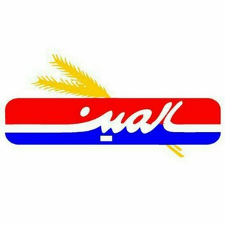 گروه سهامداران غسالم