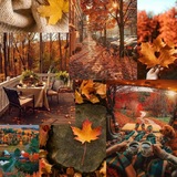 🍂 Oсенняя nолянкa Ⲕⲁύⲣⲟ ⲣⲁⲱ🥞