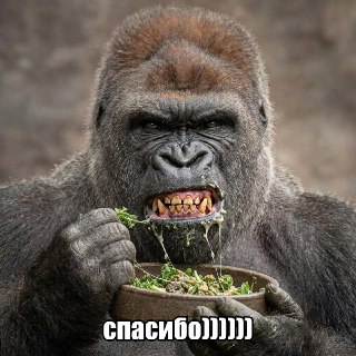 Фразу "приятного аппетита" на офисном обэде пора запретить — со слов спецов по этикету, псевдовежливость отвлекает + раздражает. Наконец-то об этом кто-то сказал.По их заверениям, дежурное "приятного аппетита" на кухне — сомнительная затея. Человек ест, а 