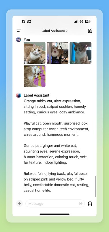 最近我做了一个打标助手GPTs，感觉特别实用，推荐给大家！主要功能：上传任意一张或多张图片，打标助手就会自动识别图像内容，并返回给你适用于 AI 模型训练标注的图像描述