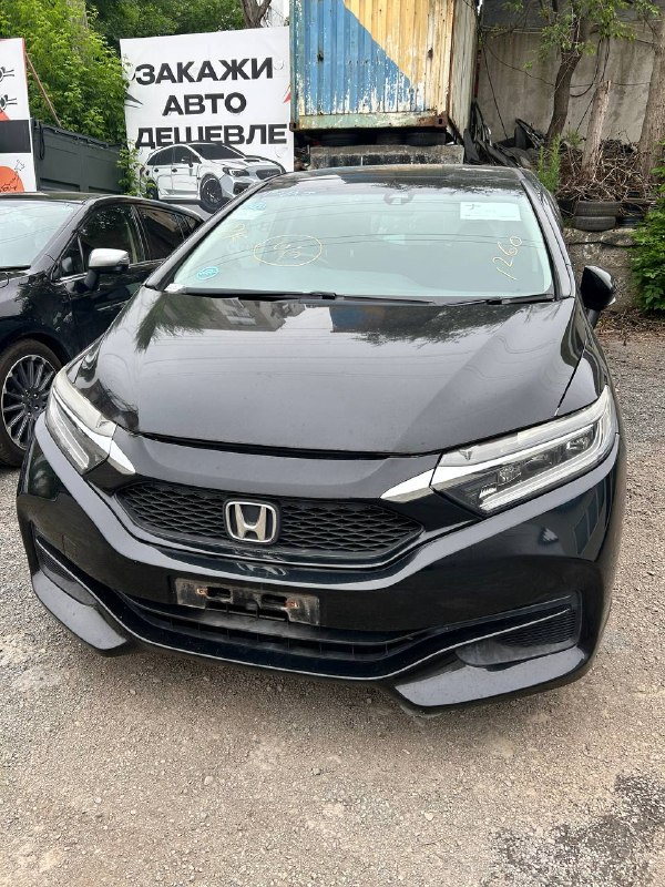 Honda Shuttle 2022 фото 2