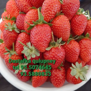 🍓 KLUBNIKA DASTAVKA BOR 🍓