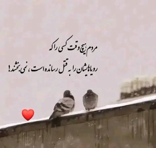 📸 گلچین بهترینها 🗒🎼: رسانه پست