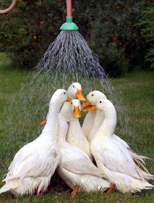 ❣️ دل‌نوشته‌ها: 😁😁😁