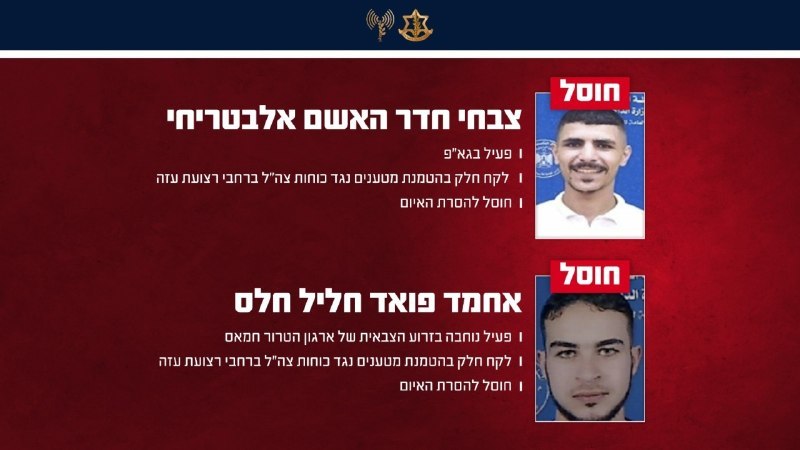 ניצן שפירא