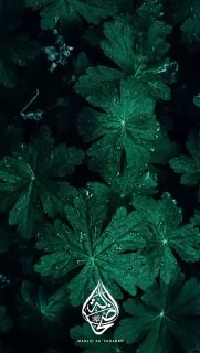 The Consequence of Rejecting The Truth | Sheikh Uthaymeen raḥimahullāh