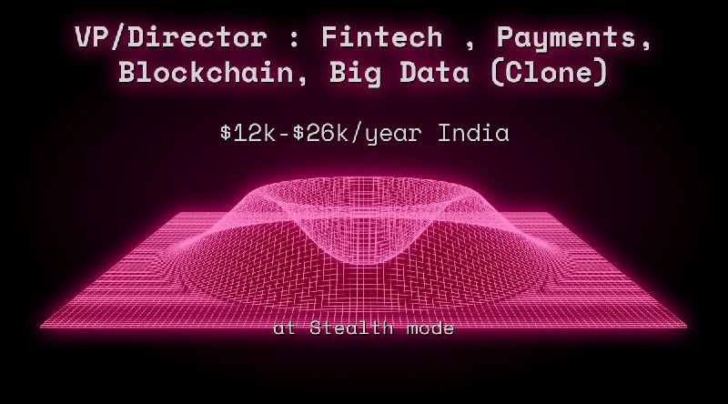 Web3 VP/Director : Fintech , Payments, Blockchain, Big Data (Clone) $12k - $26k India at Stealth mode