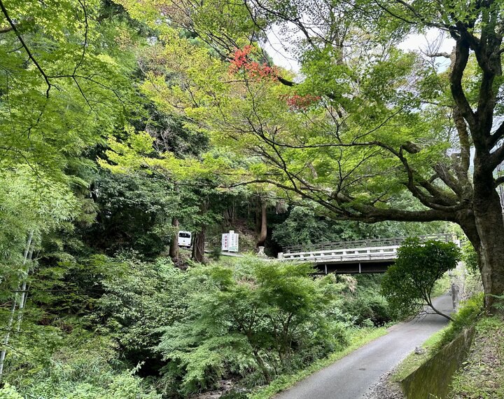 [Day3-1]環騎日本琵琶湖順遊岐阜--尋找織田信長&豐成秀吉之旅 : Day3 - part1《佛》