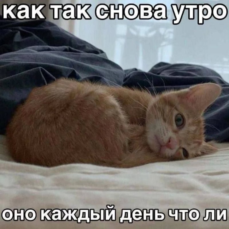 Неожиданные факты