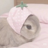 ааа рест о нет 元気いっぱい！！