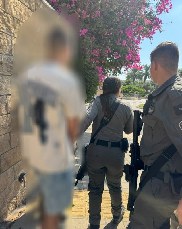מבזקן 12