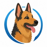 Кинологический центр Друг