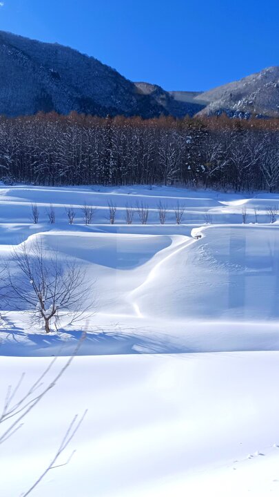 JR大糸線賞雪之旅