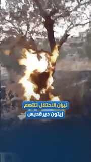 עשרות עצי זית עלו באש באזור הדרומי של הכפר דיר קאדיס, ממערב לרמאללה, לאחר שכוחות הכיבוש ירו מיכלי גז מדמיע…