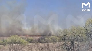 Огромный лесной пожар вспыхнул в Приморье из-за ошибки сварщика — в пригороде Владивостока сгорело почти 1,5 тысячи квадратов сухой травы. Трассу "Уссури" заволокло дымом, видимость минимальная.Собственник частного дома нарушил правила пожарной безопасност