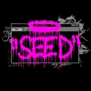 { SEED } D3COD3RS CHAT
