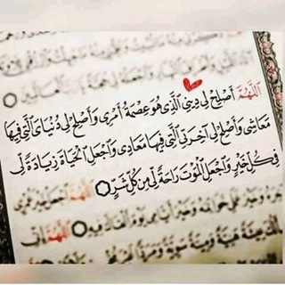 Telegram: Contact @theparadise00 Telegram Group Link