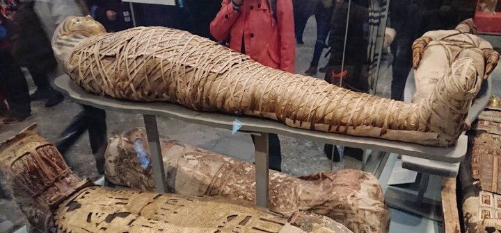 連埃及豔后都被帶來 大英博物館 BRITISH MUSEUM 埃及區木乃伊 (慎入)