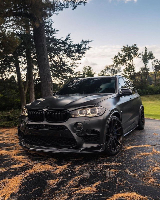 BMW X5M