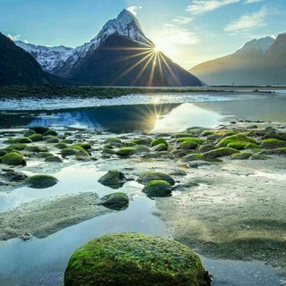 🌍INTERNATIONAL🌍 Telegram Group Link