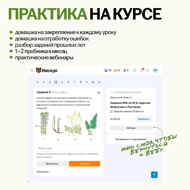 Иллюстрация к посту канала Кристина Мельникова | Биолога вызывали? | Биология ЕГЭ 10 класс | Умскул