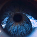 The Open Experience