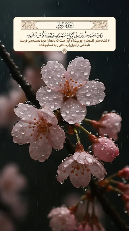 عطر قرآن: 🔹وَمِنْ آيَاتِهِ أَنْ يُرْسِلَ الرِّيَاحَ مُبَشِّرَاتٍ وَلِيُذِيقَكُمْ مِنْ رَحْمَتِهِ 🔸از نشانه‌ های [قدرت و ربوبیت] او