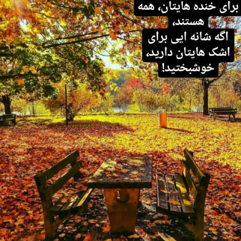 🌸 زندگے جاریست 🌸: اگر شانه ای برای اشک هایتان دارید، خوشبختید 🍃🌸 @zendegijarist2