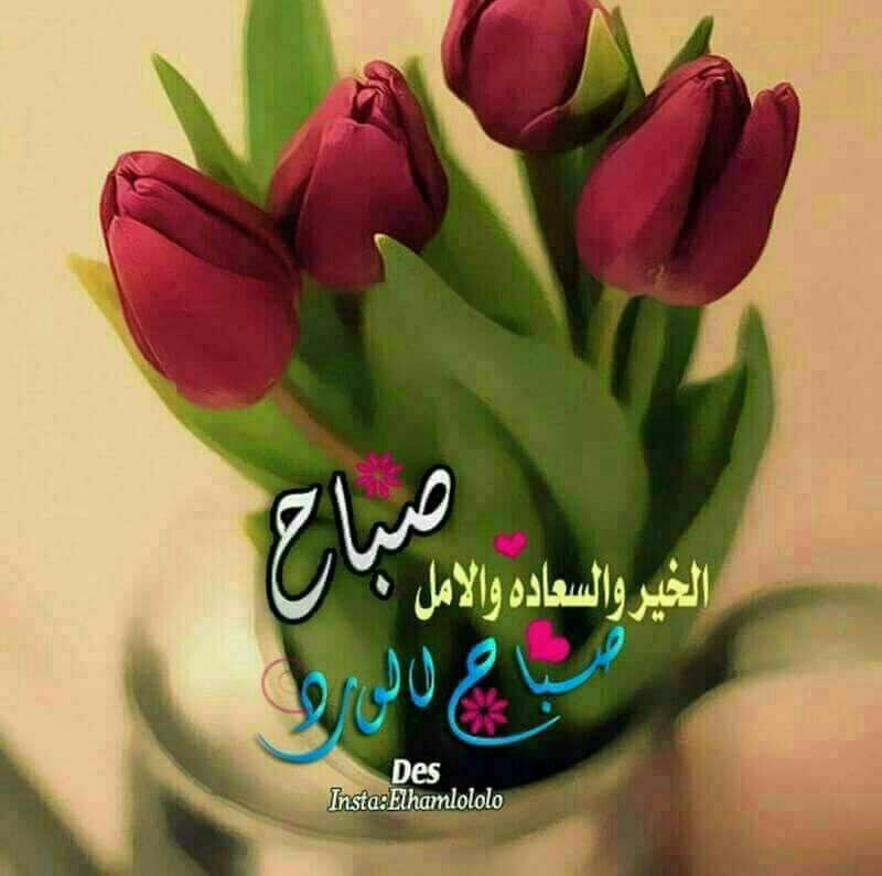 🌹💫🕊أّلَعٌشٍقِ لَلَهِ 💫🌹🕊: ، "الحيـاة أجمل عندما نشكر الله : على ما ذهب منا : و ما بقى لدينا : و ما سيأتي ! اللهمَ ااجعلنآ ممَن طآب ذكرهَم وحسنت