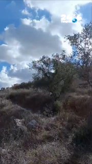 🇮🇱 The attack on the Jews near Sebastia.