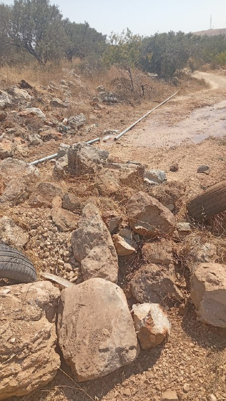 דחוף: מתנחלים סוגרים כבישים חקלאיים ומחבלים בקווי מים בעיירה אלזאוויה, ממערב לסלפית.