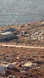 מתנחלים מתנכלים לפלסטינים ורודפים אחריהם באדמות הכפר דומא, שכם