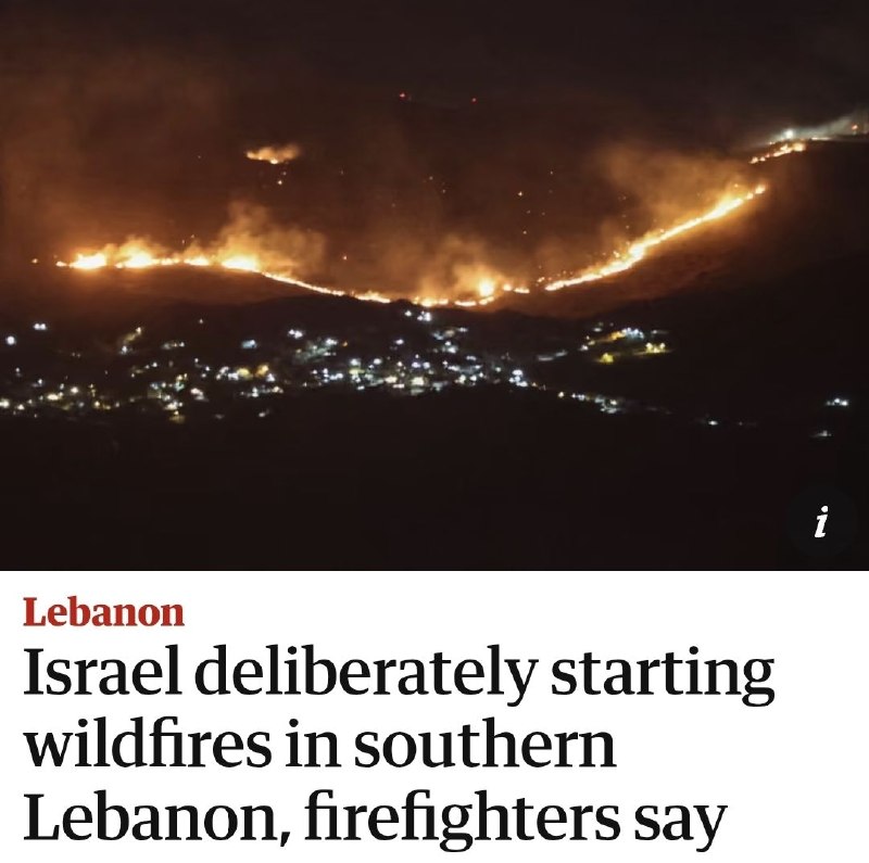ישראל שורף בכוונה את יערות דרום לבנון