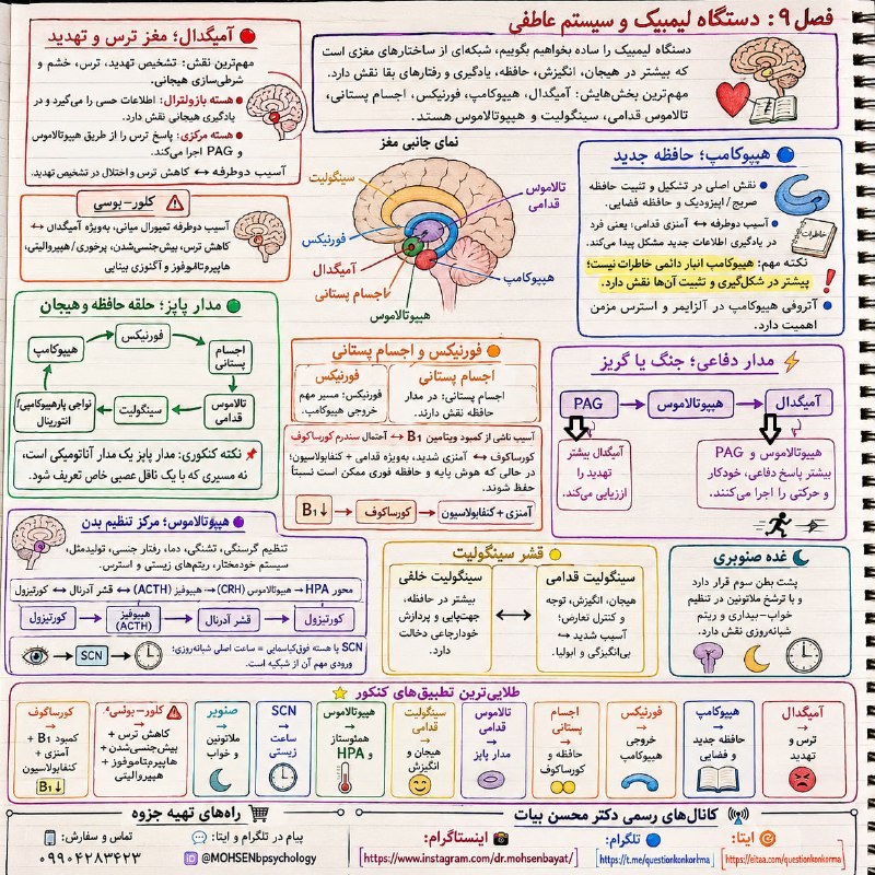مقاله، پایان نامه، رساله، کتاب، استخدامی.مشاوره کنکوری: 🧠 نوروسایکولوژی تخصصی روانشناسی⚡️ ویژه داوطلبان کنکور روانشناسی🔱 فصل ۹ | سیستم لیمبیک📚 بخش 2━━━━━━━━━━━━━━━━━━✦ تألیف