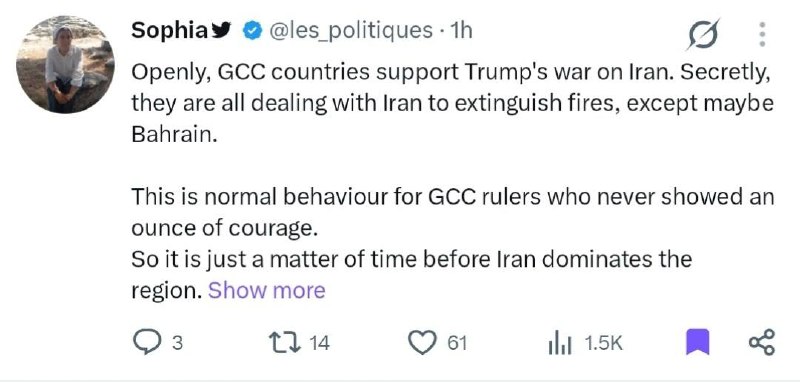 מחבר ופרשן בנושאים במערב אסיה: המדינות החברות במועצת שיתוף הפעולה של המפרץ הפרסי תומכות ככל הנראה במלחמתו ש…