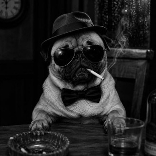 Telegram profile photo for Адская дрочильня 🍖