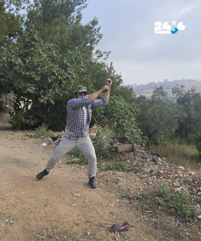 🇮🇱 עדכון: ככה"נ מדובר בשני מוקדים של ניסיון לינץ' של מחבלים ערבים מהכפר תל בקבוצת מטיילים שצעדה בסמוך לחו…
