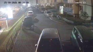 תושבי ולדיווסטוק נתקלו שוב בחיות בר בעיר. הפעם, קבוצת פשע מאורגן שלמה של ארבעה חזירי בר נצפתה בסנגובאיה פאד…