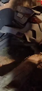 🎥 תאונה קטלנית של BMW בכביש המהיר האמט; שלושה אנשים מתו