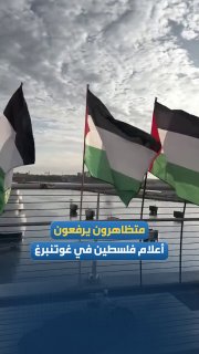 הנפת דגלי פלסטין במהלך הפגנה בעיר גטבורג בשבדיה; במחאה נגד רצח העם הישראלי המתמשך נגד הפלסטינים בעזה