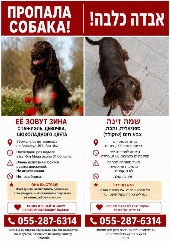 Haifainfo.com