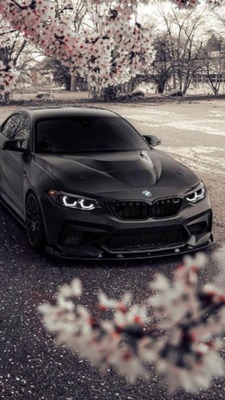 https://t.me/bmw_mpower_club