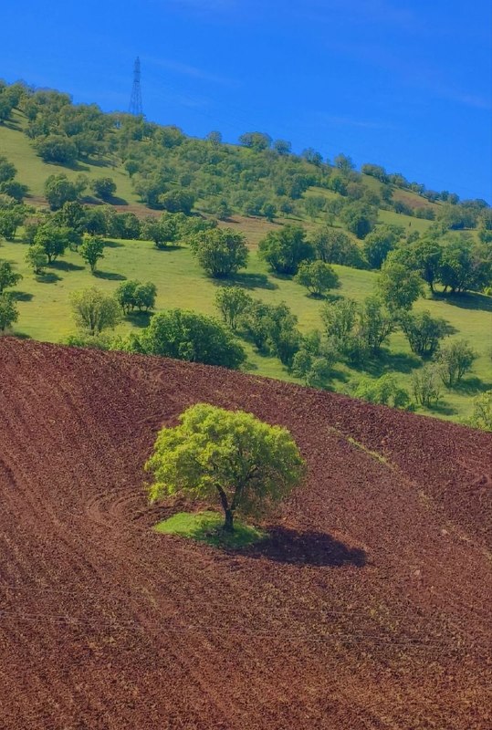 سیروان پرس: رۆژباش نیشتمان📆 ئەمڕۆ شه ممه🌾🌹۲۴ی گەلاوێژی 2726ی کوردی🌾🌹۲۴ی موردادی 405ی هەتاوی🌾🌹۱۵ی ئاگۆستی 2026ی زایینی🌾🌹۰۲ ی ڕه بیع ا