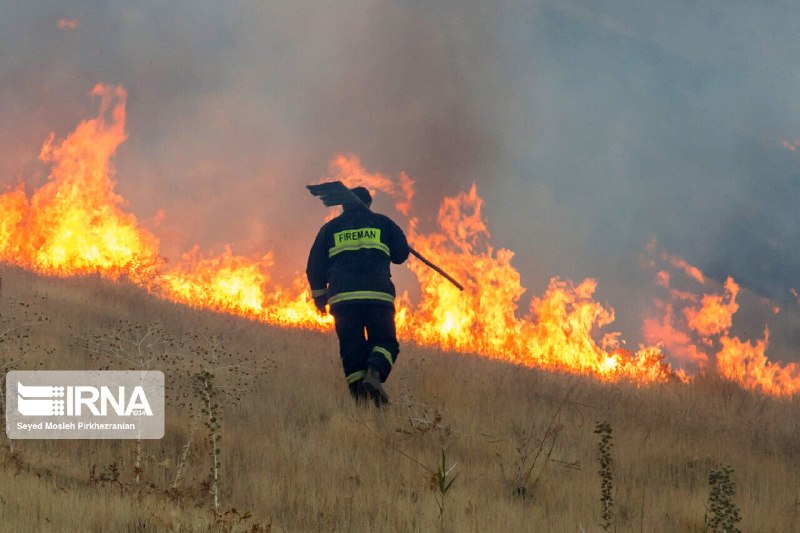 🔸 אזעקת השריפה נשמעה בשטחי המרעה/ משאבי הטבע והתריעה לתיירים ולחקלאים