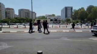 אלי הירשמן