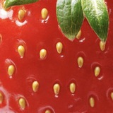 нелли