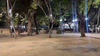 הוצאת הדוכנים הקבועים מפארק גמאל עבד אל נאצר במסגרת ארגון וסידור הפארק..