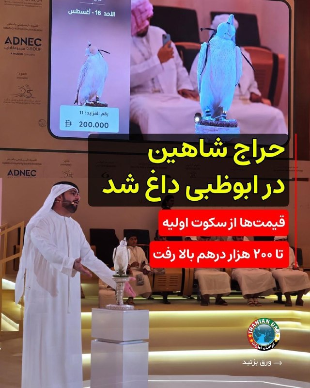 ایرانیان امارات: ❤️ حراج شاهین در ابوظبی داغ شد؛ قیمتها از سکوت اولیه تا ۲۰۰ هزار درهم بالا رفتحراج شاهینها در ابوظبی یکشنبهشب با رقاب